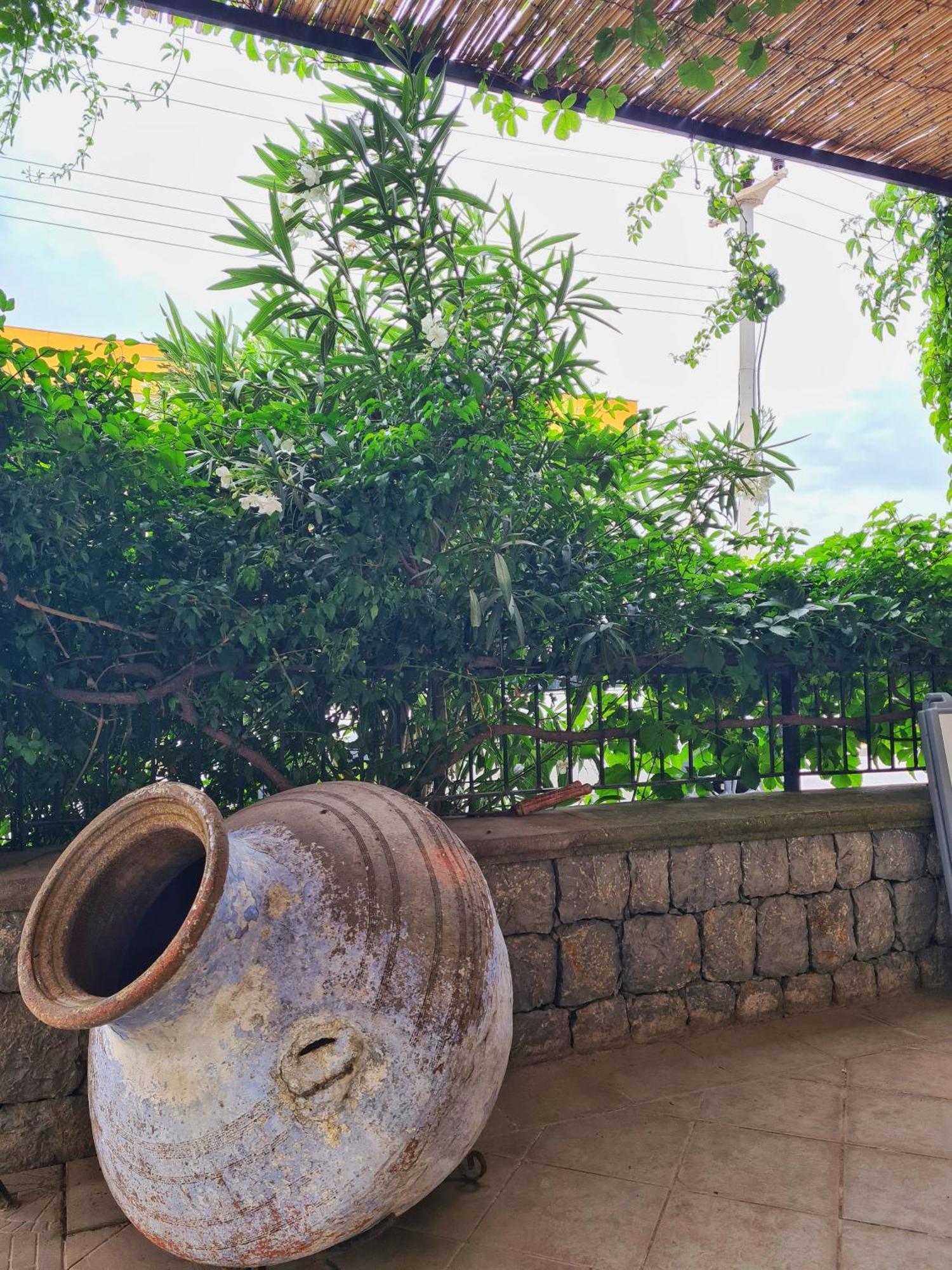 Fora Apart Otel Çeşme Zewnętrze zdjęcie